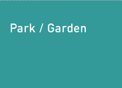 Park / Garden