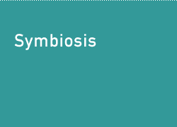 Symbiosis